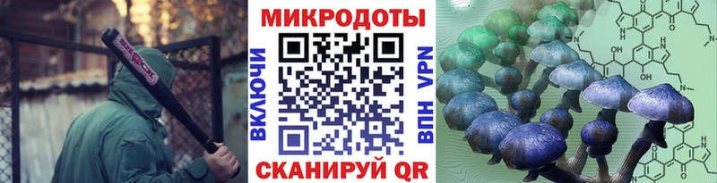 купить цена Чулым Галлюциногенные грибы Magic Shrooms